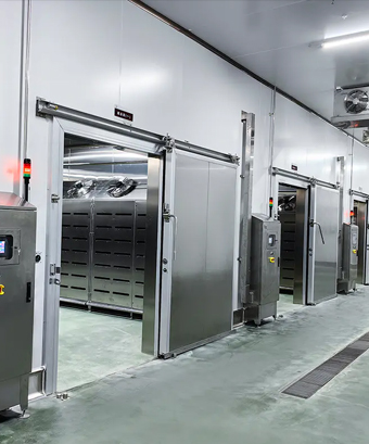 Máquina Descongeladora de Baja Temperatura y Alta Humedad